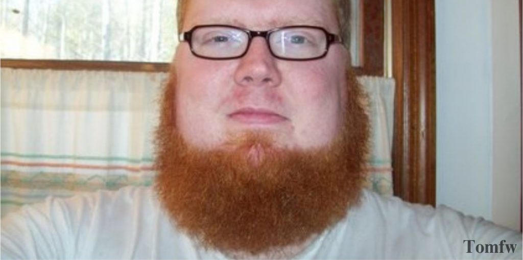 dutch beard style