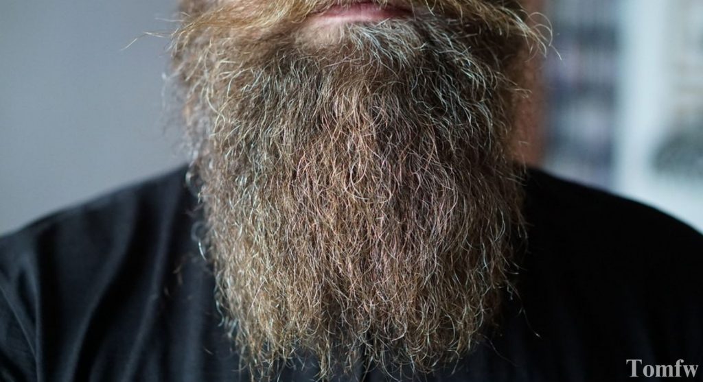 yeard beard style