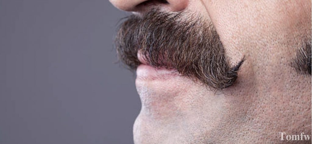 the petite handlebar mustache